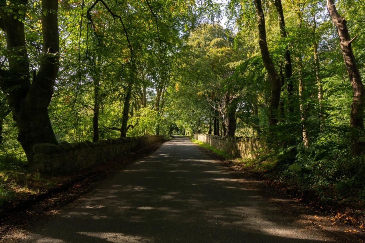 Millbrae Lodges Belfast Buitenkant foto