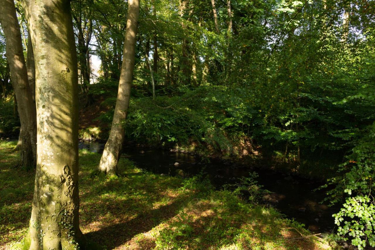 Millbrae Lodges Belfast Buitenkant foto